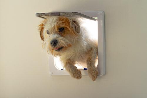 Actual product image Cat Mate 4-way locking cat flap, XL, white (Magnetic cat flap)
