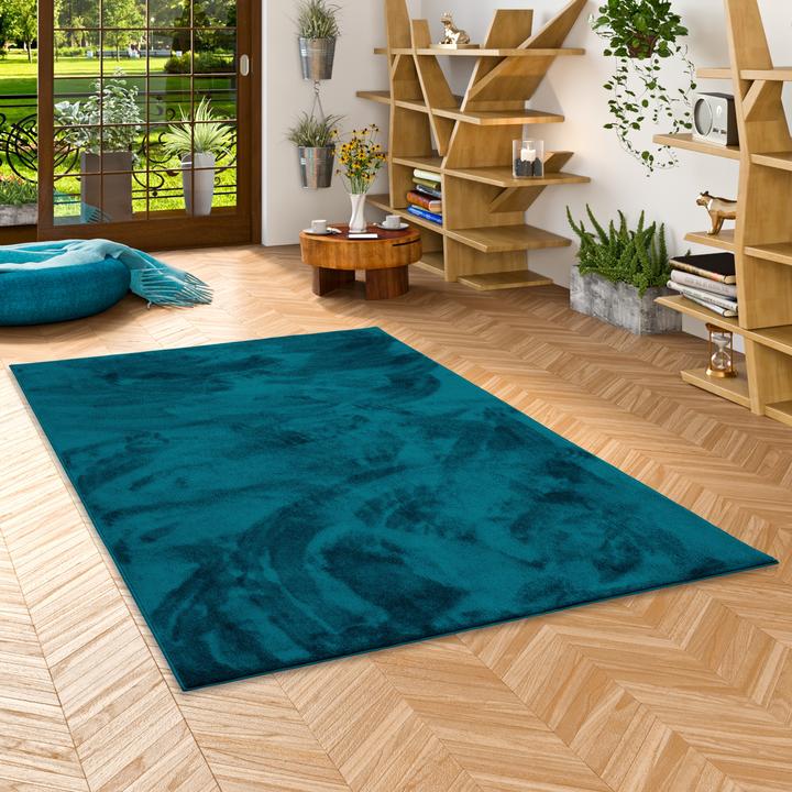 Image du produit Pergamon Luxe Super Soft Tapis à poils longs Melia (120 x 170 cm)