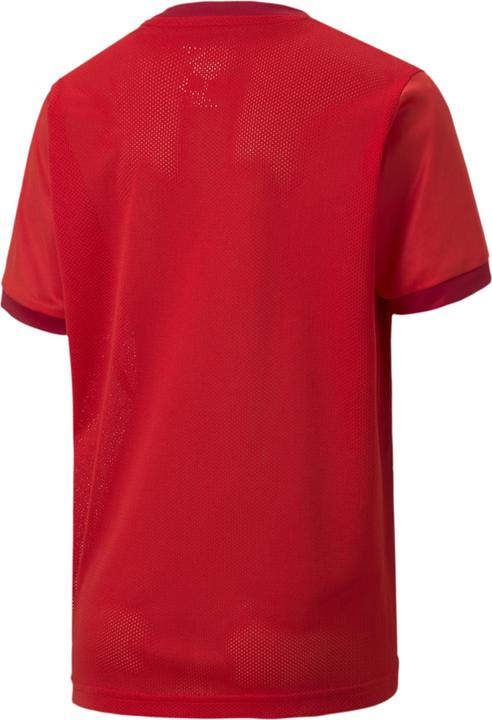 Image du produit Puma teamGOAL 23 Jersey jr-704160 (176)