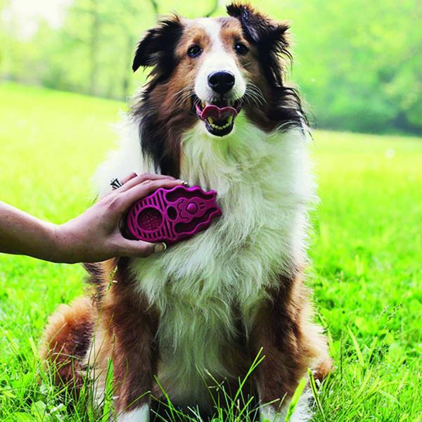 Produktbild KONG Zoom Groom, 11 x 6.5 cm, rosa, Kurz- + Langhaarfell