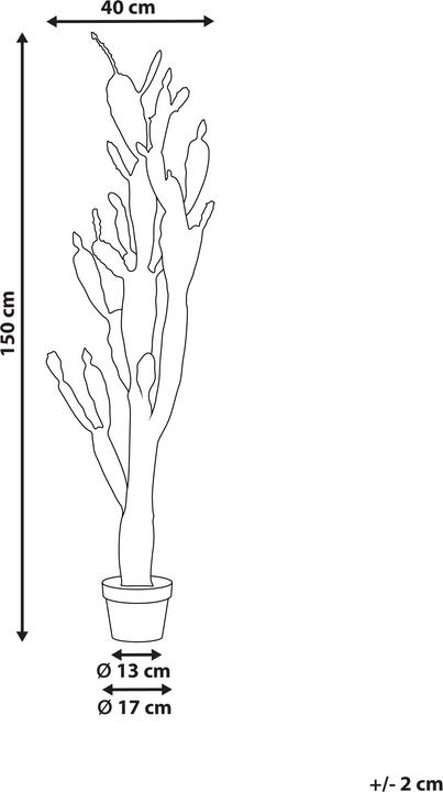 Actual product image Beliani Opuntia Cactus (150 cm)