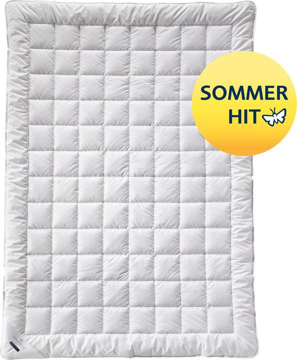 Actual product image Billerbeck Summer SILK Superlight - Seidendecke - 155 x 220 cm (100 g, 155 x 220 cm)