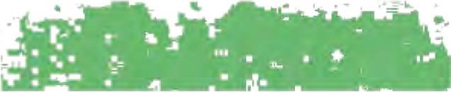 Actual product image Schmincke Pastel Chalk Moss Green 2 076 D (Moss green)