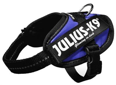 Actual product image Julius-K9 K9 Idc Powergesch Baby 2 Blue (2, Dog, Dog sport)