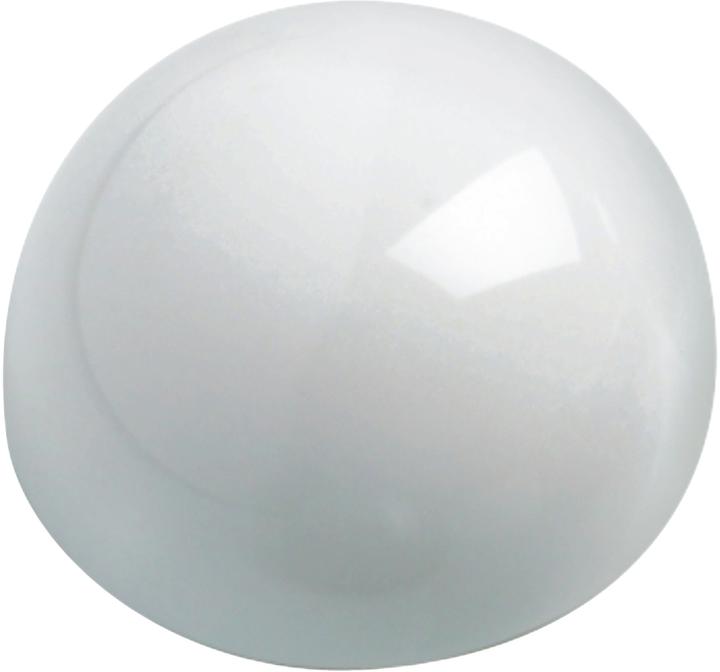 Actual product image Maul Ball magnet Ø 30 mm white (10 x)