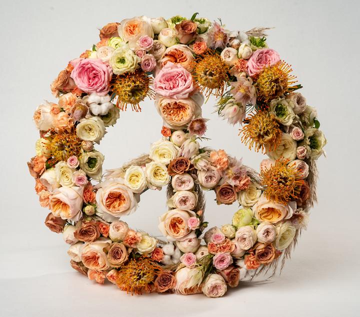 Image du produit Oasis Le label BIOLINE® Peace