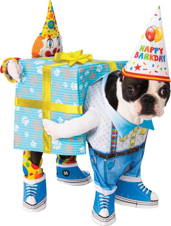 Actual product image Bristol Novelty Present Birthday Dog Costume (L, Dog overalls)