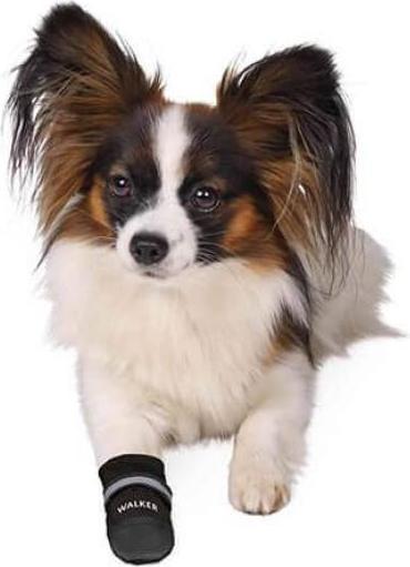 Actual product image Trixie Paw protection Walker Care (M, Dog boots)