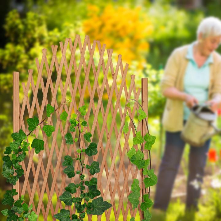 Actual product image Relaxdays trellis (30 cm, 165 cm)