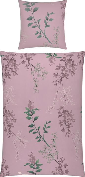 mauve-rose pâle