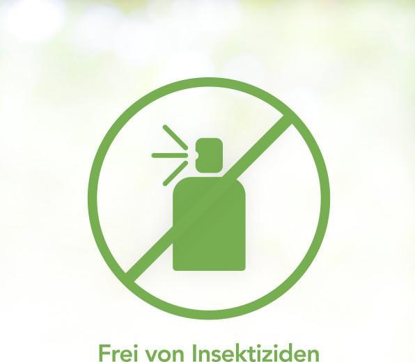 Produktbild Raid Essentials Cold Freeze Spray (Ameisen, Spinnentiere, Schaben)