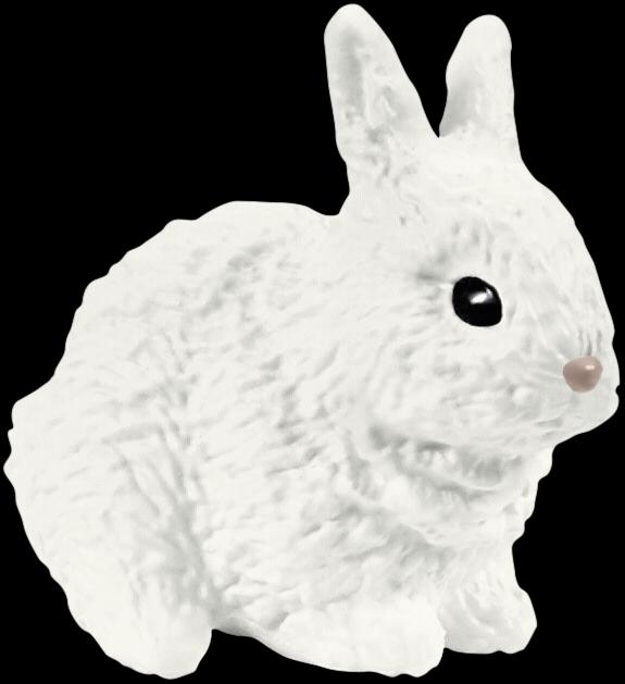 Image du produit Schleich Rabbit et Caviahok