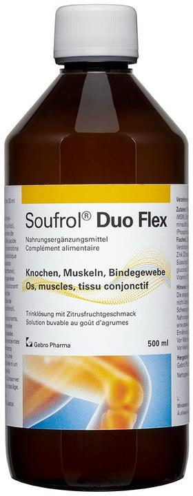 Soufrol Duo Flex Trink Lös (1 Stück, 600 g)