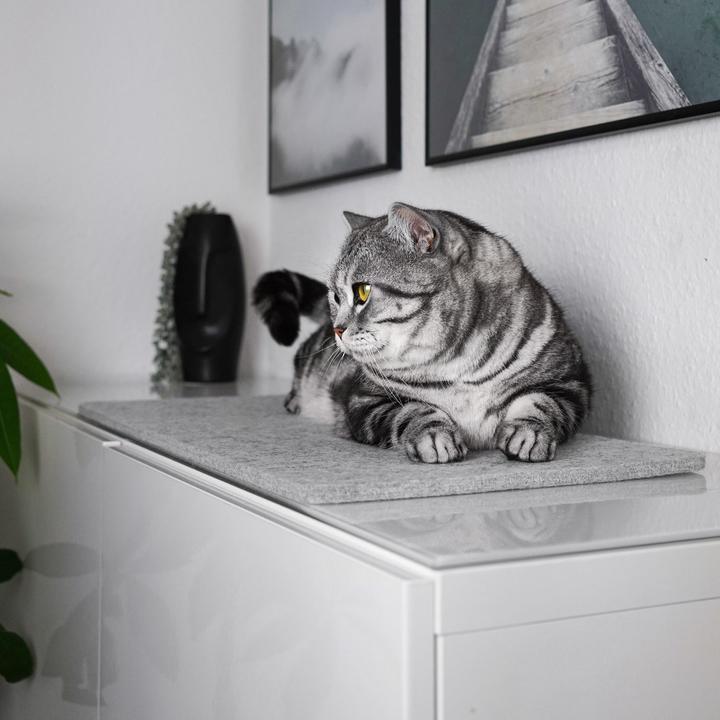Image du produit LucyBalu FELTY Fensterbrettauflage (Chat)