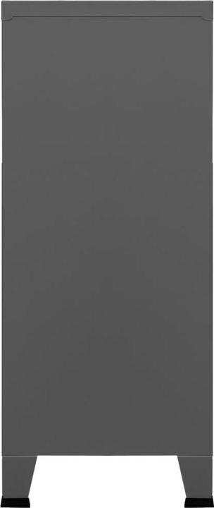 Actual product image VidaXL Daralis (90 x 40 x 100 cm)