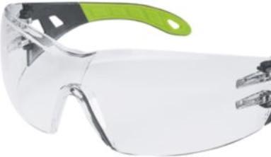 Uvex Safety Pheos