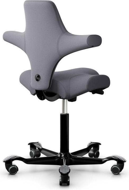 Actual product image HAG Capisco 8106