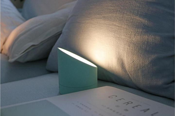 Actual product image Gingko edge light