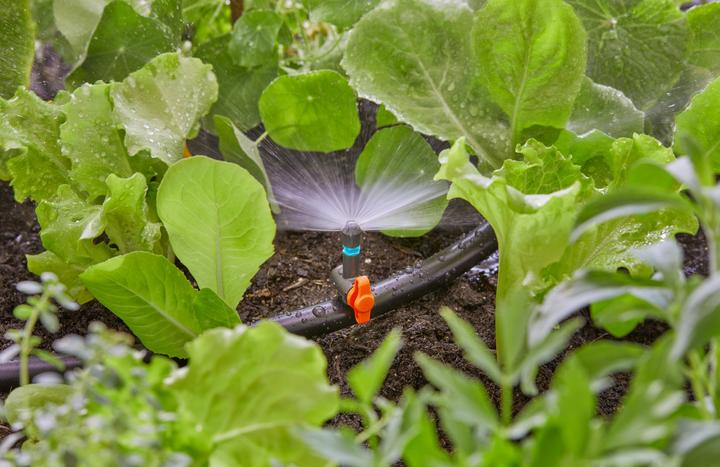 Produktbild Gardena Micro-Drip-System (Tropfschlauch + Tropfrohr)