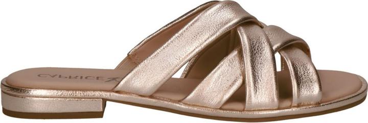 Image du produit Caprice Mule (40)