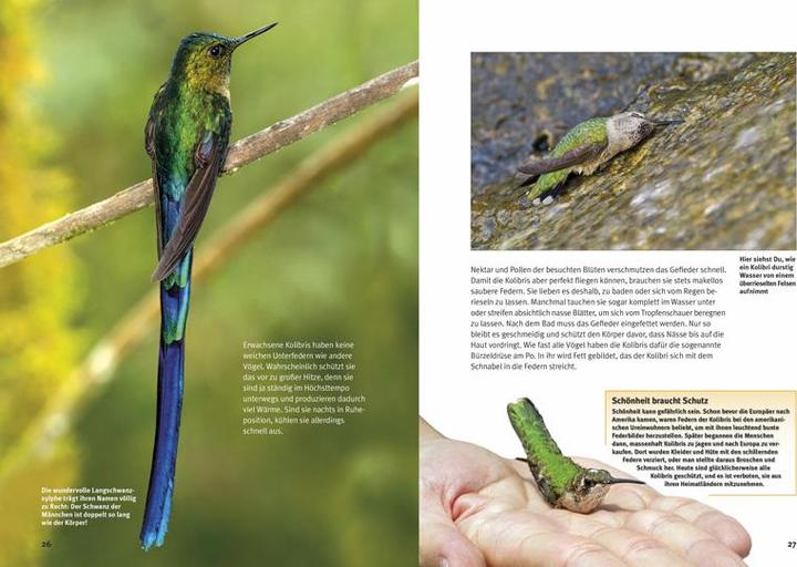 Actual product image Entdecke die Kolibris (German, Leonie Proscurcin, 2016)