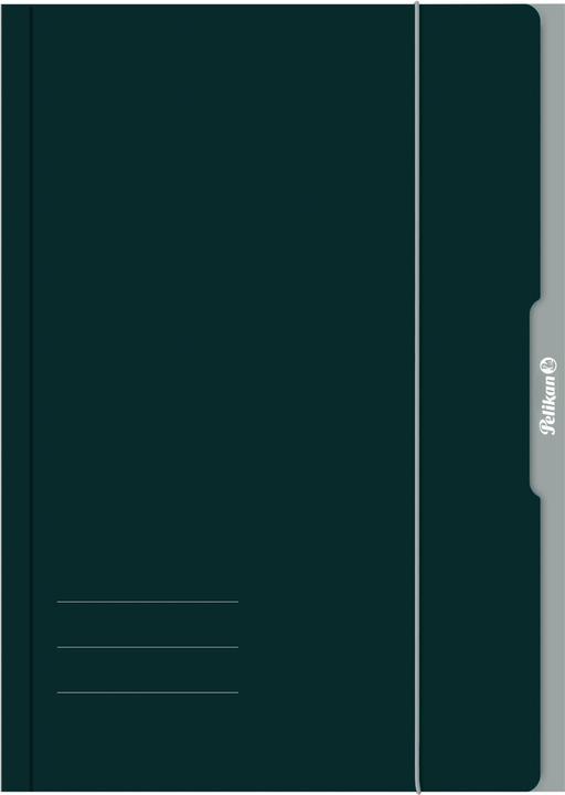 Pelikan Sammelmappe, Zeichnungsmappe Sammelmappe A4 farbig sortiert FSC (A4, 1 x)