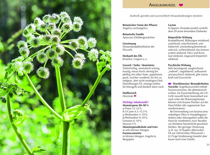 Produktbild Handbuch Ätherische Öle (Deutsch, Katharina Zeh, Anusati Thumm, 2024)