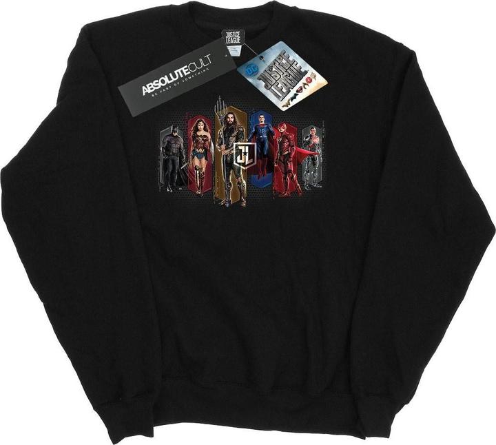 Image du produit - Sweat JUSTICE LEAGUE MOVIE TEAM HEXAGONS - Homme (S)