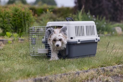 Produktbild Karlie Nomad (Hund, Katze, Abschliessbar)