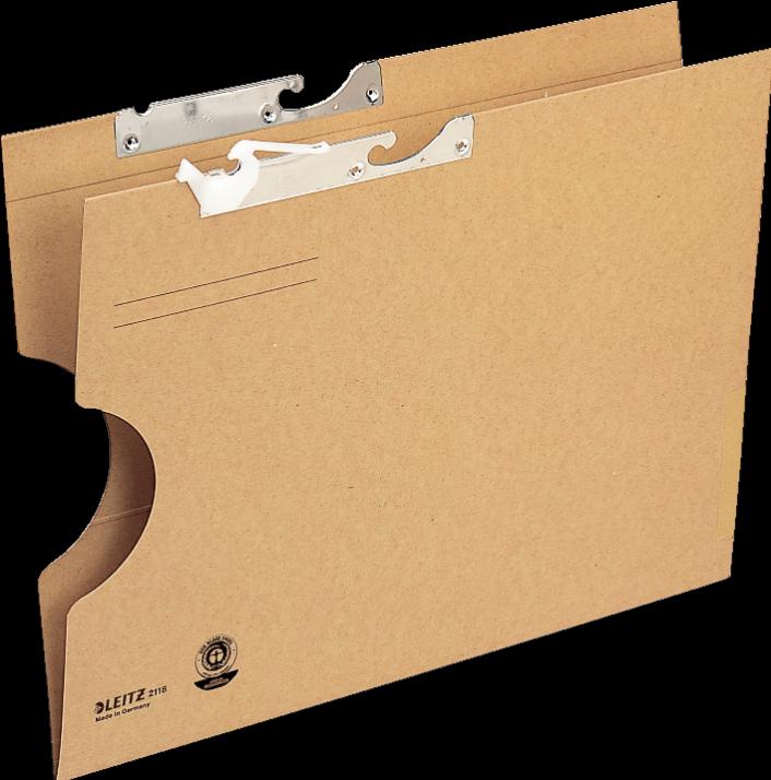 Actual product image Leitz Pendulum folder, extra large, with frog, natron (A4, 1 x)