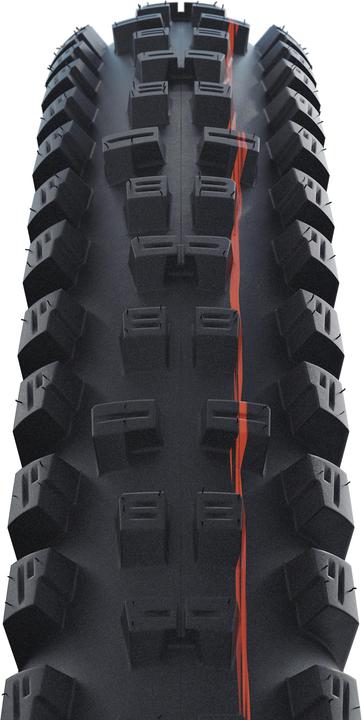 Actual product image Schwalbe Tacky Chan (29 x 2.40, 62-622)