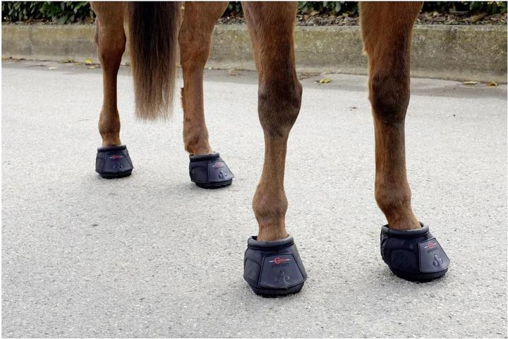 Actual product image Covalliero Hoof shoe (single)