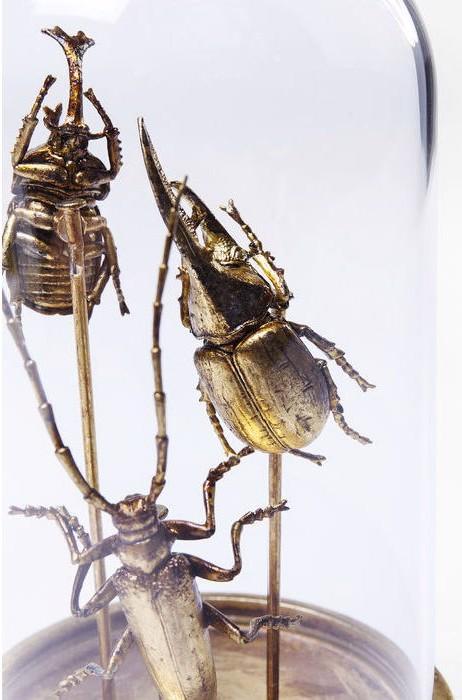 Actual product image Kare Design Deco object Insects Tre
