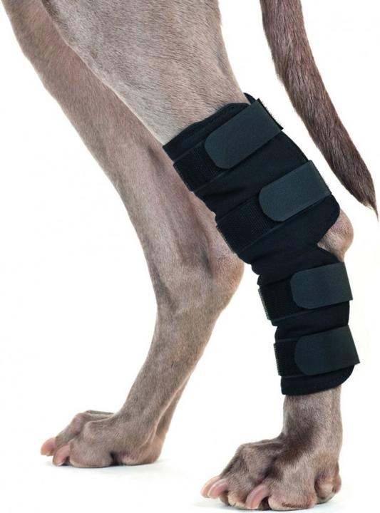 Immagine prodotto Back on Track Protezioni per le caviglie con 4 chiusure in velcro (Cane)