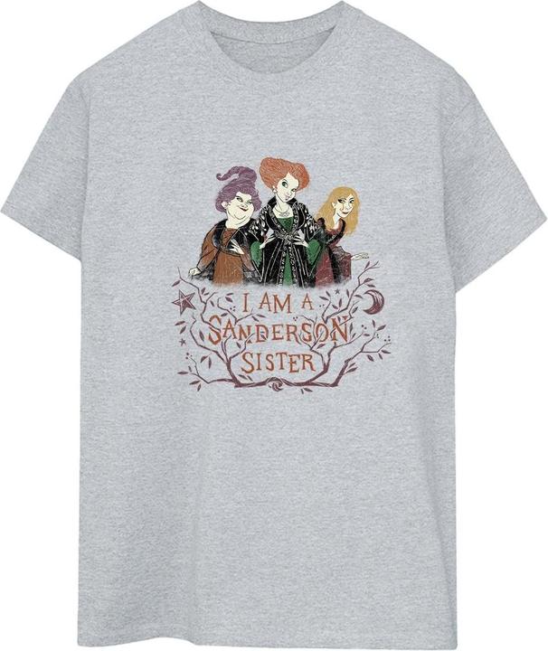 Image du produit Disney - T-shirt HOCUS POCUS SANDERSON SISTER - Femme (L)