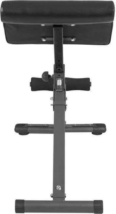 Actual product image Gyronetics Foldable back trainer