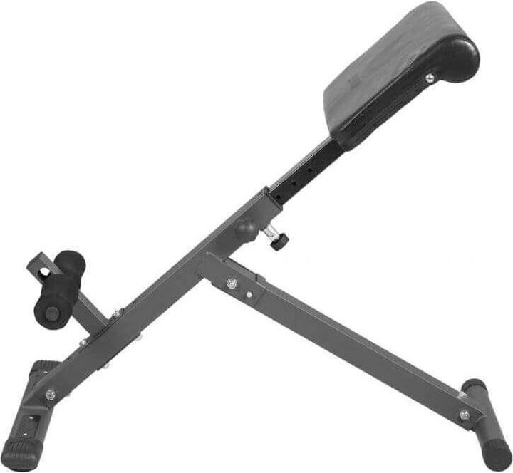 Actual product image Gyronetics Foldable back trainer