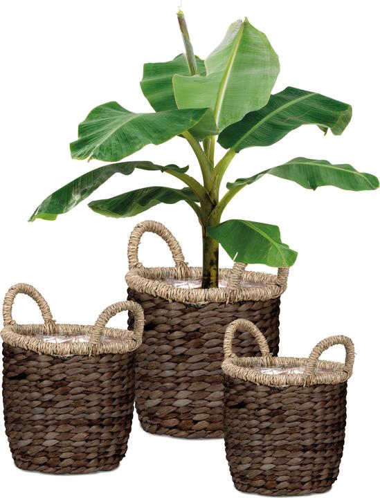 Image du produit Scheurich Water hyacinth 34, vase en osier/panier-plante/pot en osier avec poignées en couleur Water hyacinth (34 cm)