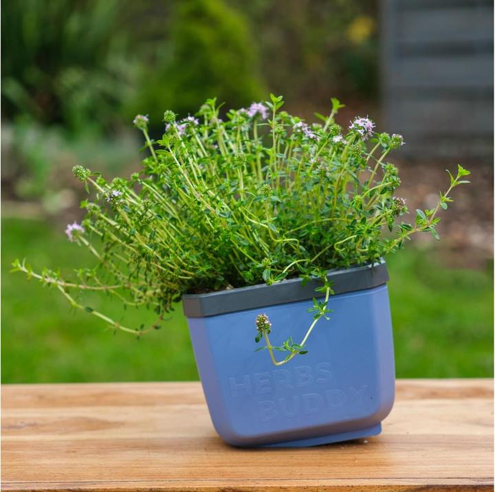 Produktbild Gusta Garden Herbs Buddy Kräutertopf (50 cm)