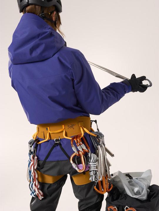 Produktbild Arc'teryx Alpha SV (L)