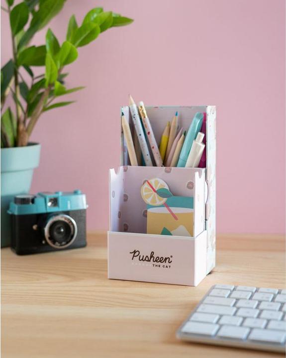 Actual product image Pusheen Rose pencil case