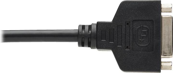 Image du produit Eaton Câble adaptateur DisplayPort vers DVI-I M/F 6inch 15.2cm (0.15 m, DisplayPort)