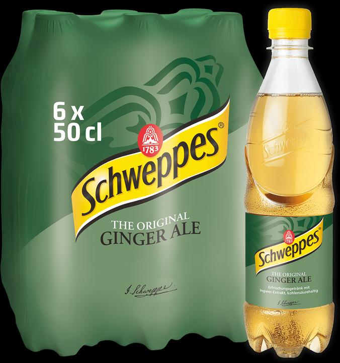Image du produit Schweppes Ginger Ale (6 x 50 cl)