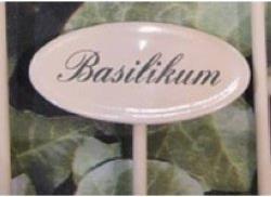 Gewürzstecker Basilikum 20 cm (20 cm)