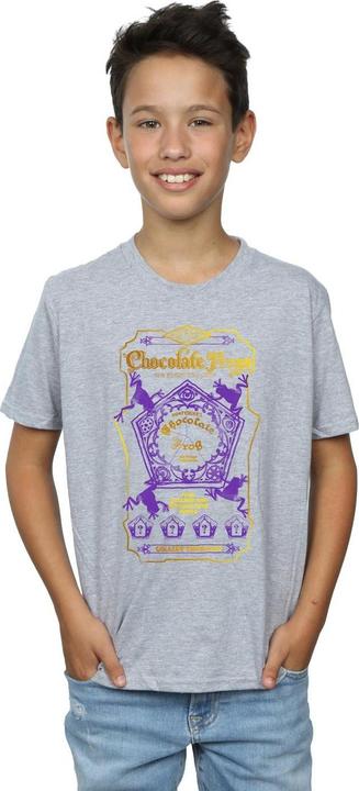 Actual product image Boys Chocolate Frogs Coloured Label T-Shirt (152, 158)