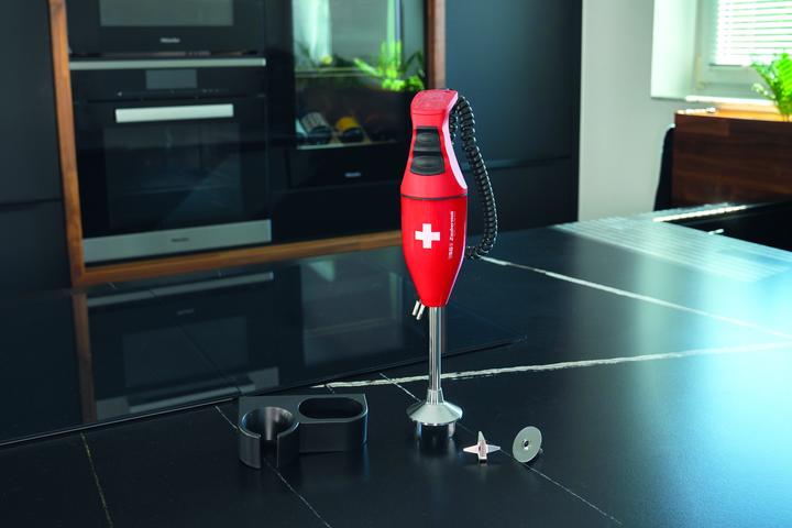 Actual product image ESGE Pürierstab (EU plug)