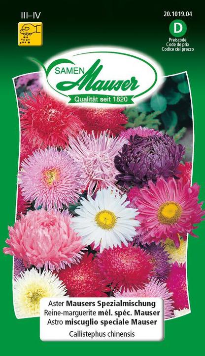 Aster Mauser's Spezialmischung (Blumensamen)