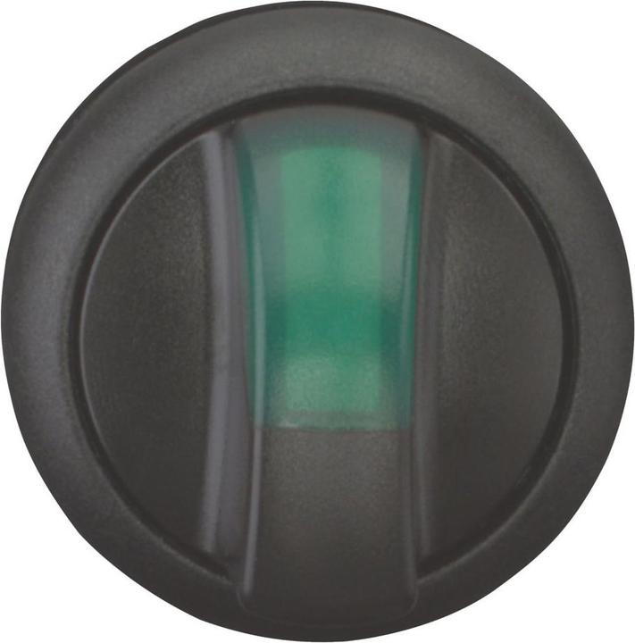 Produktbild Eaton Leuchtwahltaste, RMQ-Titan, mit 216817