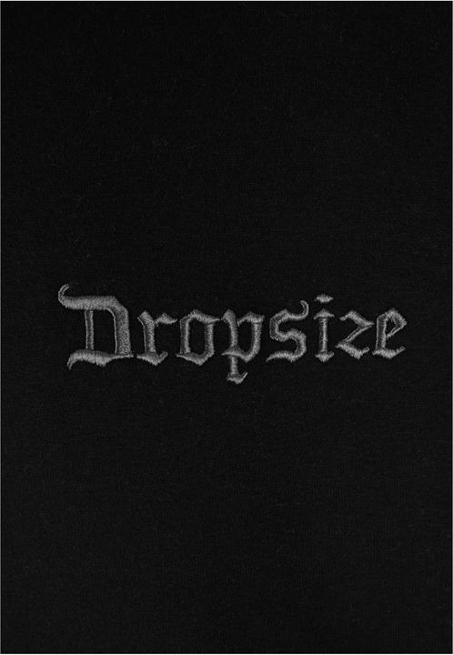 Image du produit Dropsize Sweat à capuche Heavy Backlogo - 124943 (M)