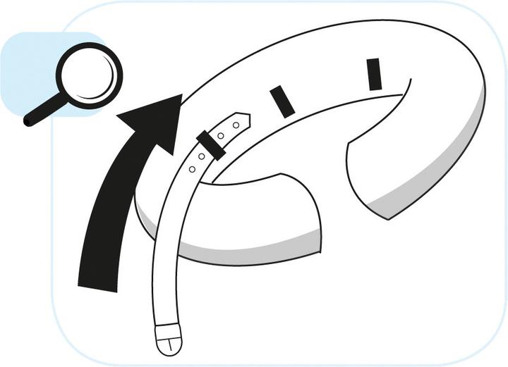 Actual product image Karlie Inflatable dog collar (Dog)
